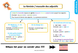 Evaluation avec le corrigé pour le Ce1 sur le féminin, masculin de l’adjectif - bilan  - PDF à imprimer