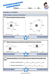 Comparer et mesurer des périmètres au Cm1 - Evaluation progressive - PDF à imprimer