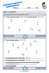 Distinguer et tracer les segments et les droites au Cm1 - Evaluation progressive - PDF à imprimer