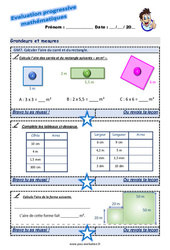 Comparer et mesurer des aires au Cm2 - Evaluation progressive - PDF à imprimer