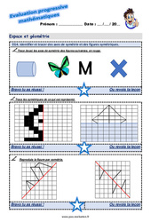 Identifier et tracer des axes de symétrie et des figures symétriques au Cm2 - Evaluation progressive - PDF à imprimer