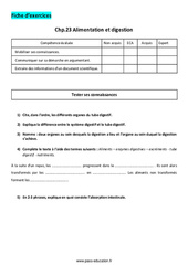 Alimentation et digestion - 5ème - Exercices corrigés - PDF à imprimer