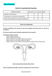 La reproduction humaine - 5ème - Exercices corrigés - PDF à imprimer