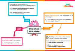 Phrase simple et phrase complexe - Vidéo pédagogique interactive - Cycle 3 - PDF à imprimer