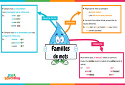 La famille des mots - Vidéo pédagogique interactive – CM1 – CM2 – 6ème - PDF à imprimer