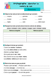 Identifier le nombre du nom – Exercices d'orthographe pour le ce1 - PDF à imprimer