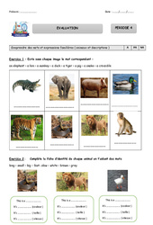 Evaluation - CE1 - Période 4 - Anglais - Doggy , Foxy - My English Pass - PDF à imprimer