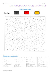 Pluriel des noms - Cm1 - Coloriage magique - PDF à imprimer