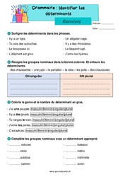 Identifier les déterminants – Exercices de grammaire pour le ce1 - PDF à imprimer