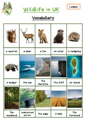 Wildlife in UK - Leçon d'anglais CP - CE1 - Séquence 16 - My English Pass - PDF gratuit à imprimer