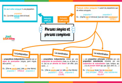 Phrases complexes et phrases simples - 5ème - Carte mentale - PDF à imprimer