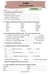 Les liens entre les mots (synonymes, antonymes, paronymes, homonymes) – 4ème – Exercices avec les corrigés - PDF à imprimer