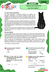 Comment les chats font-ils pour être si agiles ? - 5ème - 4ème -3ème - Curieux de tout - PDF à imprimer