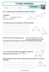Triangles semblables – 3ème – Exercices avec les corrigés - PDF à imprimer