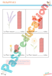Mesure la fleur en cubes – Grandeurs - Printemps - Moyenne section – Maternelle - PDF à imprimer