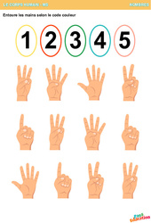 Les mains – Le corps humain – Nombres – Moyenne Section – Grande Section – Maternelle - PDF à imprimer