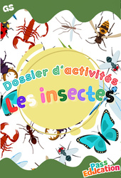 Les insectes - GS - Dossier d'activités - Maternelle - PDF à imprimer