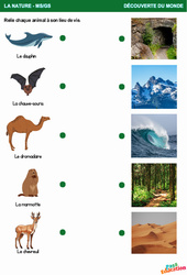 Lieu de vie des animaux – Explorer le monde - MS - GS – Maternelle - PDF à imprimer