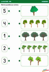 Les arbres – La nature – Nombres – Moyenne Section – Maternelle - PDF à imprimer