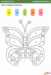 Le papillon - Les insectes - Discrimination visuelle - GS - Grande section - Maternelle - PDF à imprimer