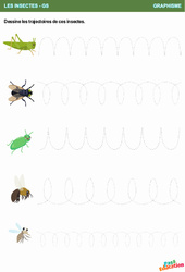 Les trajectoires de ces insectes - Graphisme - GS - Maternelle - PDF à imprimer
