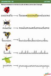 La suite de lettres - Les insectes - Lecture - Maternelle - Grande section – GS - PDF à imprimer