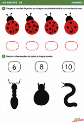 La coccinelle  – Les insectes – Nombres – Grande Section – Maternelle - PDF à imprimer