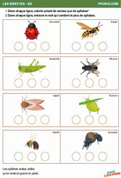 Syllabes & Insectes – Phonologie - GS - Grande section – Maternelle - PDF à imprimer