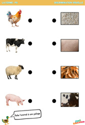 L'animal à son pelage – La ferme – Discrimination visuelle - PS – Maternelle - PDF à imprimer
