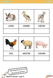 Les animaux de la ferme - Lecture - PS - Maternelle - PDF à imprimer