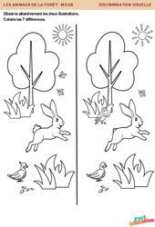 Les animaux de la forêt – Discrimination visuelle - MS - GS – Maternelle - PDF à imprimer