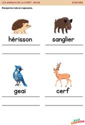 Les animaux de la forêt - Ecriture - MS - GS - Maternelle - PDF à imprimer