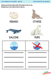 Les animaux de la mer – MS - GS - Découverte du monde – Maternelle - PDF à imprimer