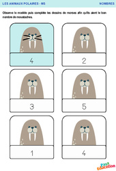 Les morses - Animaux polaires – Nombres – MS - GS – Maternelle - PDF à imprimer