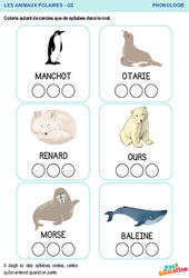 Animaux polaires – Phonologie - GS - Grande section – Maternelle - PDF à imprimer