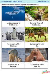 Les parents de ces bébés animaux – Savoir parler – MS – GS – Maternelle - PDF à imprimer