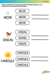 Les 4 saisons - Ecriture - MS - GS - Maternelle - PDF à imprimer