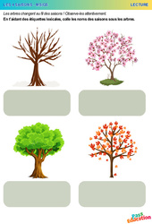 Les arbres - Les 4 saisons - Lecture - PS - MS - Maternelle - PDF à imprimer