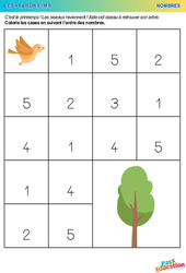 Aide cet oiseau à retrouver son arbre – Nombres – Moyenne Section – Maternelle - PDF à imprimer