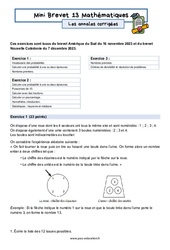 Mini Brevet de mathématiques 3ème - Les annales corrigées 13 - PDF à imprimer
