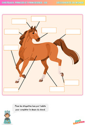 Le dessin du cheval – Découverte du monde - GS – Maternelle - PDF à imprimer