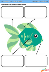 Le poisson – Animaux de la mer – MS - GS - Découverte du monde – Maternelle - PDF à imprimer