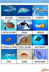 Les animaux de la mer – Lexique - MS - GS – Maternelle - PDF à imprimer