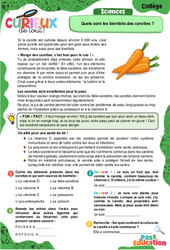 Quels sont les bienfaits des carottes ? - 5ème - 4ème -3ème - Curieux de tout - PDF à imprimer