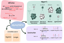 Homothétie (Introduction) – 3ème – Carte mentale - PDF à imprimer