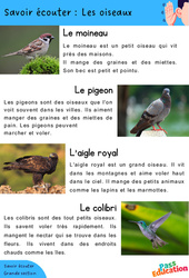 Les oiseaux - Découvrir l'écrit - GS - Maternelle - PDF à imprimer