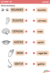 Les 5 sens - Lecture - MS - Maternelle - PDF à imprimer