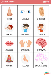 Les cinq sens – Lexique - MS - GS – Maternelle - PDF à imprimer