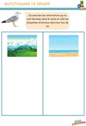 Les animaux - MS - Questionner le monde en maternelle - PDF à imprimer