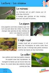 Les oiseaux - CP - CE1 - Lecture - PDF à imprimer